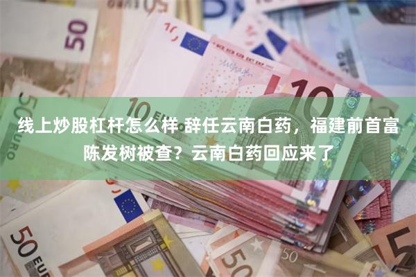 线上炒股杠杆怎么样 辞任云南白药，福建前首富陈发树被查？云南白药回应来了