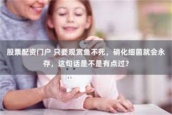 股票配资门户 只要观赏鱼不死，硝化细菌就会永存，这句话是不是有点过？