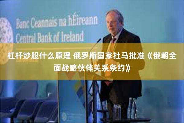 杠杆炒股什么原理 俄罗斯国家杜马批准《俄朝全面战略伙伴关系条约》
