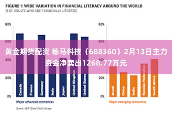 黄金期货配资 德马科技（688360）2月13日主力资金净卖出1268.77万元