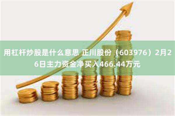 用杠杆炒股是什么意思 正川股份（603976）2月26日主力资金净买入466.44万元