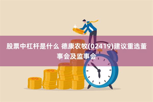 股票中杠杆是什么 德康农牧(02419)建议重选董事会及监事会