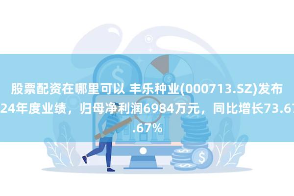 股票配资在哪里可以 丰乐种业(000713.SZ)发布2024年度业绩，归母净利润6984万元，同比增长73.67%