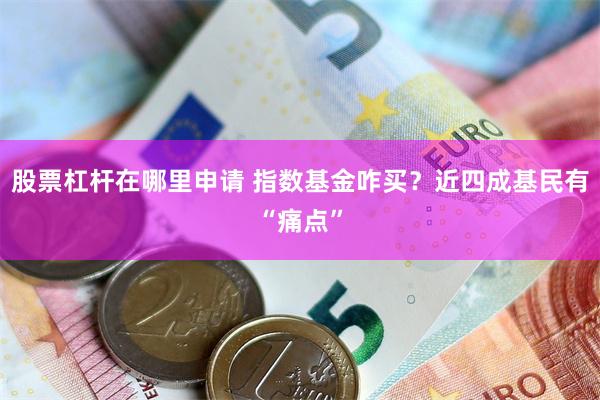股票杠杆在哪里申请 指数基金咋买？近四成基民有“痛点”
