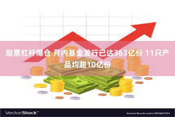 股票杠杆爆仓 月内基金发行已达363亿份 11只产品均超10亿份